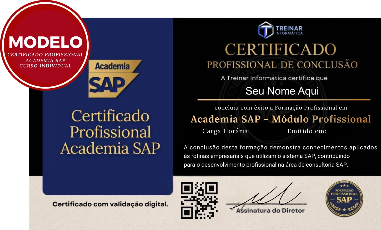 Certificado Profissional do Curso SAP BASIS